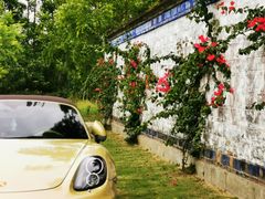 -金谷域澳洲庄园