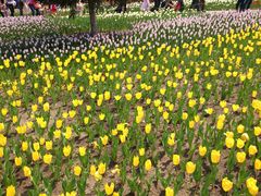 -长春公园(普阳街道)