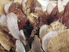 -北方饺子王·海肠捞饭·海鲜锅(山大店)