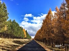 -塞罕坝国家级自然保护区