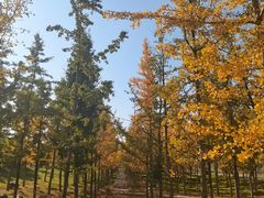 -汉长安城未央宫国家考古遗址公园