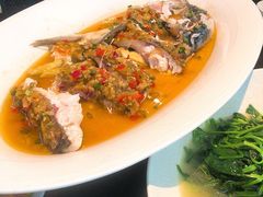 -凤凰湘语·湘粤和鸣(浦东旗舰店)