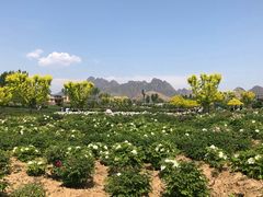 -狼牙山风景区