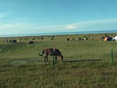 -青海湖国家重点风景名胜区