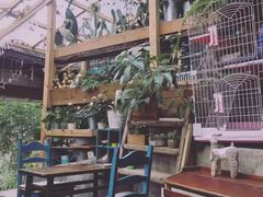 -懒鱼时光馆(沙坪坝店)