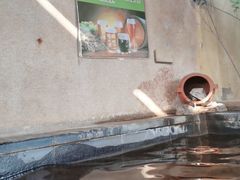 -仁爱团泊湖温泉中心