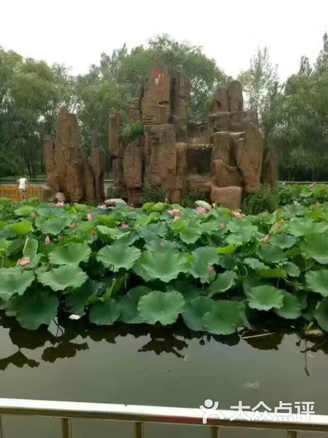 埃蒙小镇(安定门店)-图片-北京美食-大众点评网