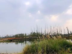 -三圣花乡旅游区