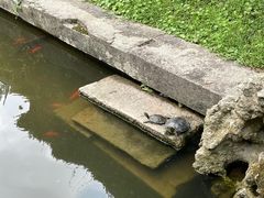 -宁波市保国寺古建筑博物馆