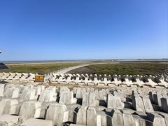 -南汇嘴观海公园