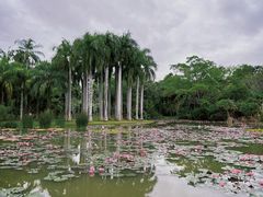 -中国科学院西双版纳热带植物园