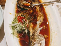 -沪碟·精菜坊(闵行店)