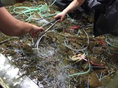 -都斛海鲜街