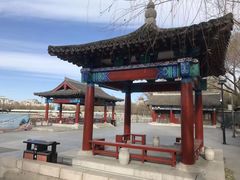 -莲花池公园