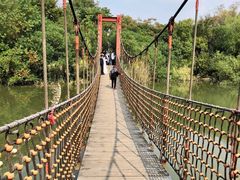 -上海吴淞炮台湾国家湿地公园