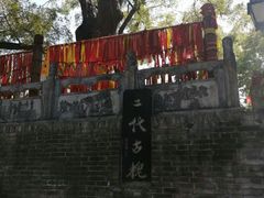 -大槐树寻根祭祖园