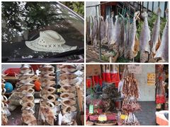 -大湾区中央湿地公园