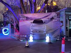 -枫花园汽车电影院(朝阳公园店)