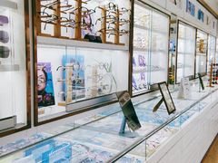 -翰佐蔡司小乐圆·依视路星趣控·暴龙眼镜折扣店