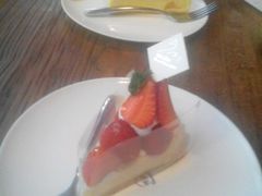 -倾城密码(大唐店)