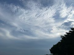 -深圳湾公园(南山区)