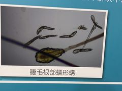 -宁波市眼科医院