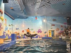 -太平洋海底世界