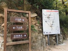 -大岭沟猕猴桃谷风景区