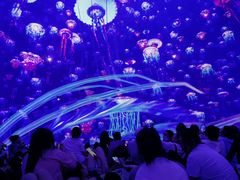 -南戴河国际娱乐中心