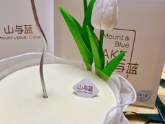 -山与蓝·轻糖鲜果蛋糕(勒泰店)