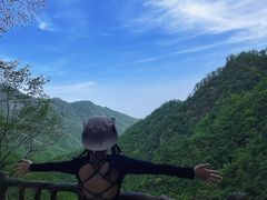 -洛阳白云山景区