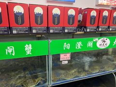 -阳澄湖大闸蟹·琼灵阁牌品牌连锁(吴中总店)