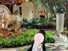 -拉斯维加斯永利酒店