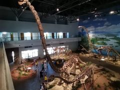 -自贡恐龙博物馆