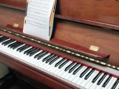 -乐尚音乐空间·钢琴·声乐·尤克里里(海岸城店)