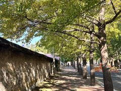 -旅顺留声机博物馆