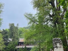 -潭柘寺景区