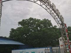 -林旺社区水果市场