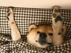 -厦门规划展览馆