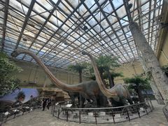 -国家自然博物馆