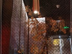 -京华烟云·北京烤鸭(领展购物广场·中关村店)