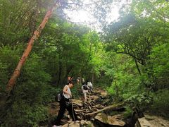 -秦岭风景区