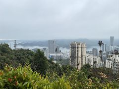 -梧桐山风景名胜区