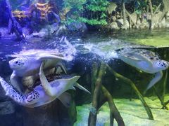 -欢乐海岸海洋奇梦馆