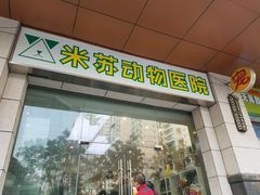 -米苏动物医院·犬猫专科·骨科外科内窥镜