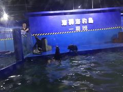 -重庆欢乐海底世界