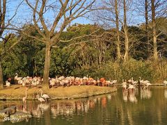 -上海野生动物园