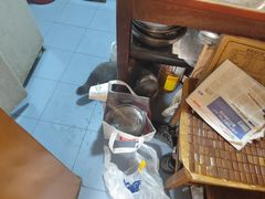 -西贝(上海我格广场店)