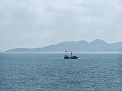 -枸杞岛