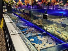 -SEA西雅图海鲜自助餐厅(海乐世界店)